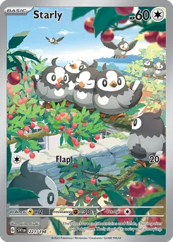 Starly #221, Standard