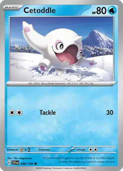 Cetoddle #58, Reverse Holo
