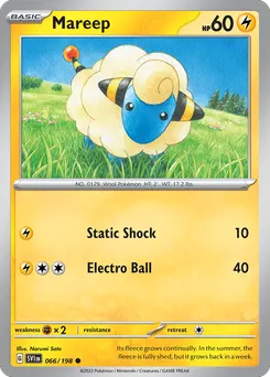 Mareep #66, Reverse Holo