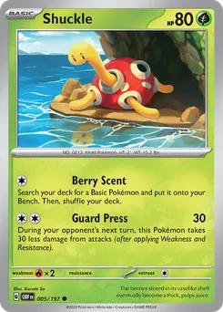 Shuckle #5, Reverse Holo