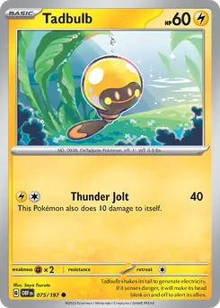 Tadbulb #75, Standard