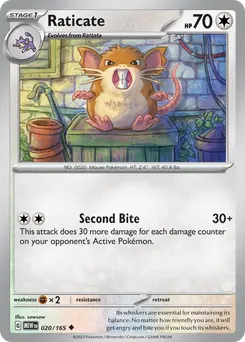 Raticate #20, Reverse Holo