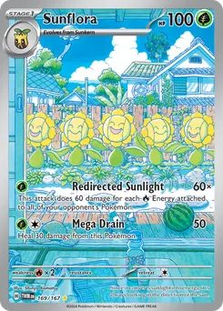 Sunflora #169, Standard
