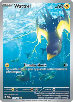 Wattrel #178, Standard