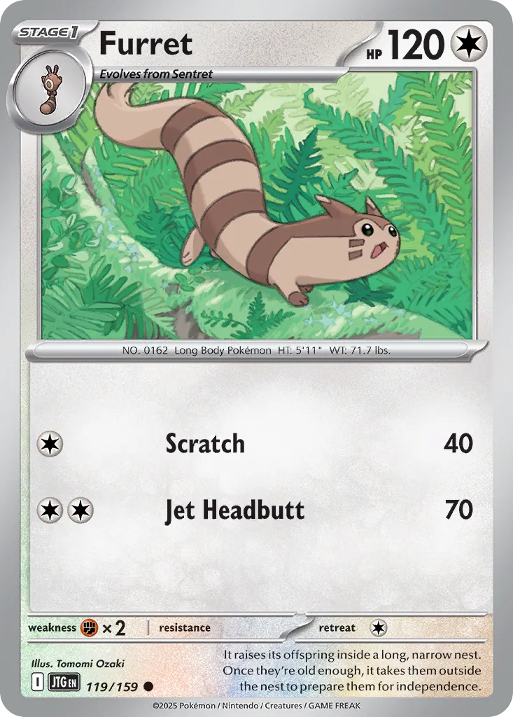 Furret #119, Journey Together