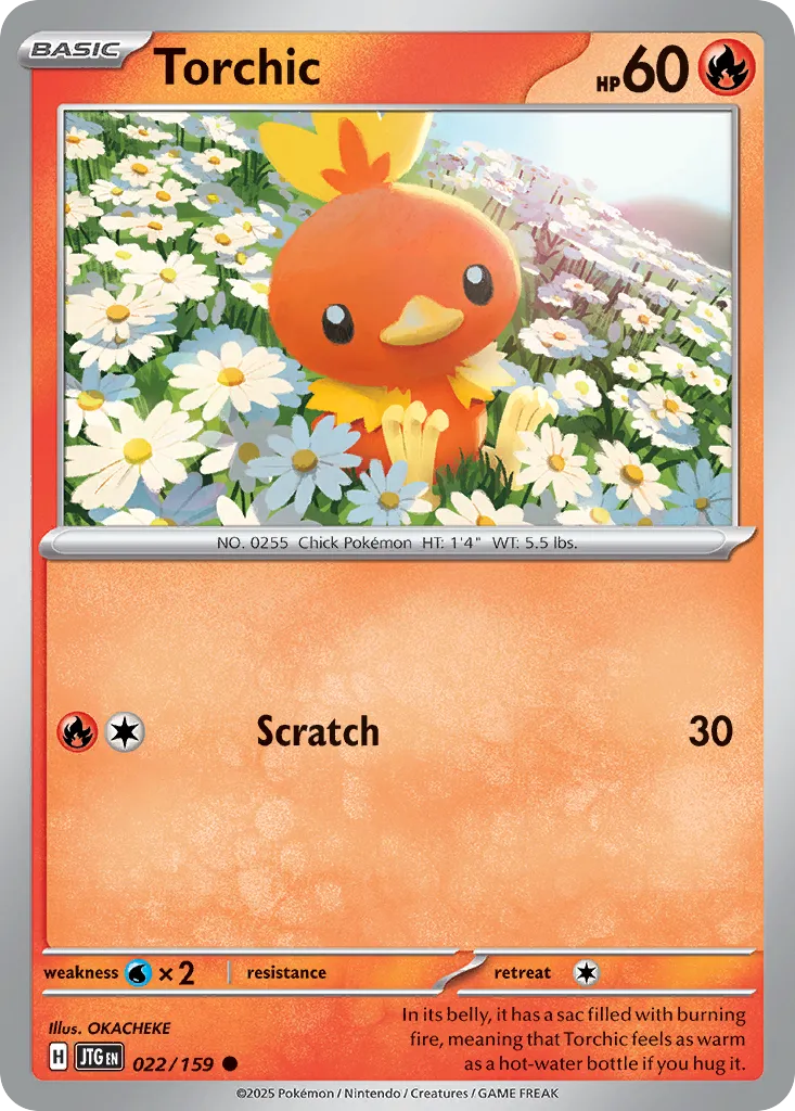 Torchic #22, Journey Together