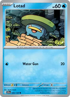 Lotad #35, Standard