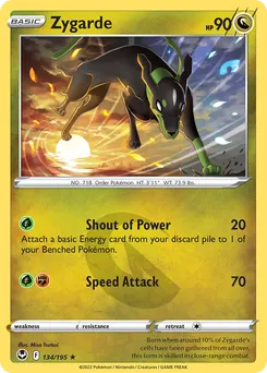 Zygarde #134, Silver Tempest