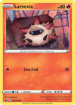 Larvesta #24, Standard