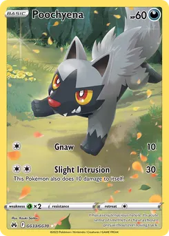 Poochyena #GG33, Standard