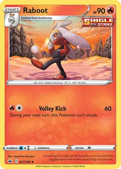 Raboot #27, Reverse Foil