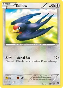 Taillow #102, XY