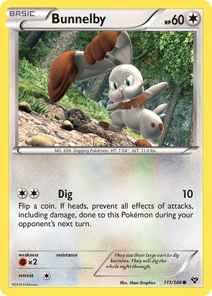 Bunnelby #111, XY