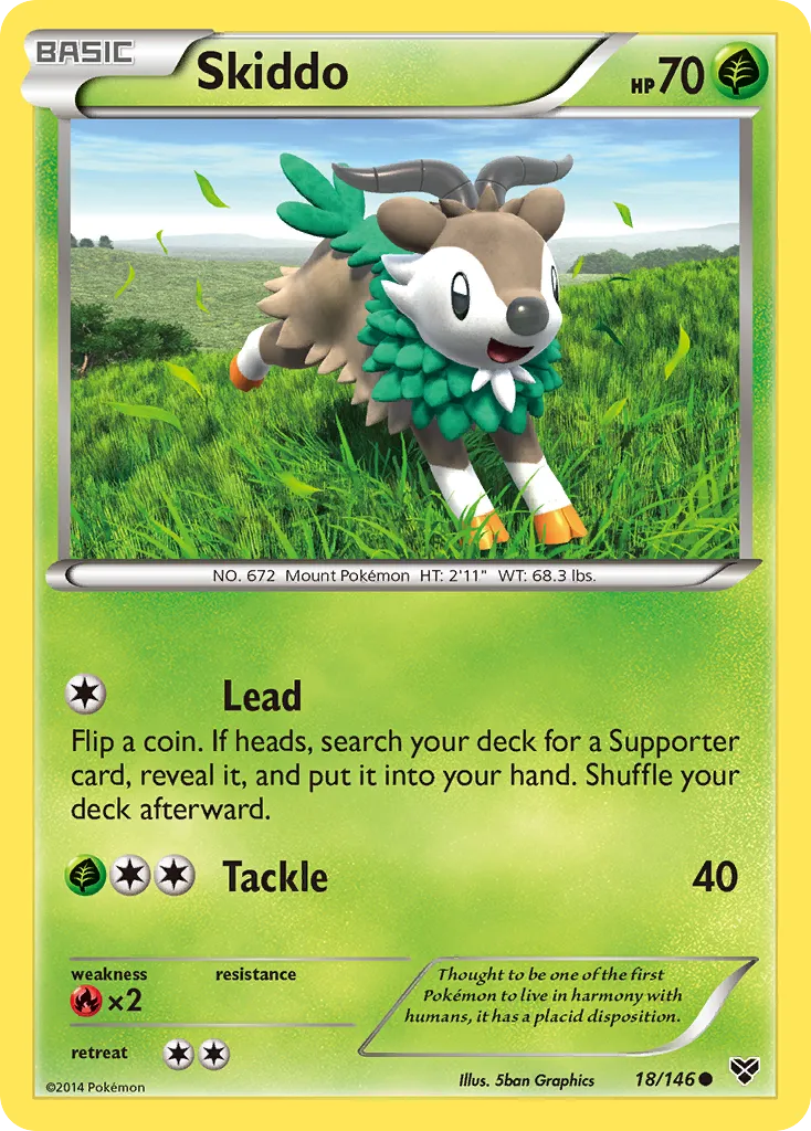 Skiddo #18, XY Reverse Foil