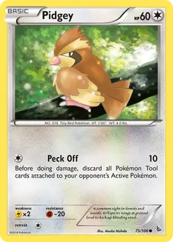 Pidgey #75, Reverse Foil