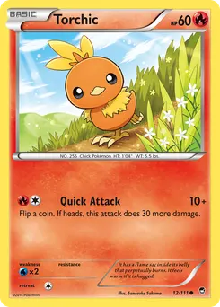 Torchic #12, City Championships-Staff
