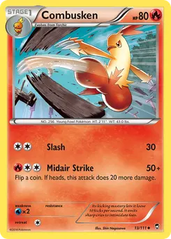 Combusken #13, Arena Cup