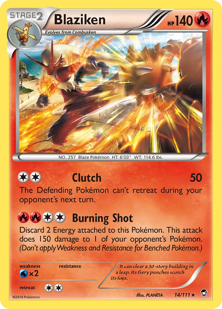 Blaziken #14, Furious Fists National Championships-Staff