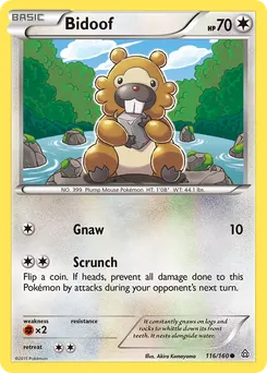 Bidoof #116, Reverse Foil