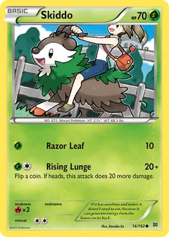 Skiddo #16, Reverse Foil